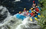 American River Whitewater Rafting Tour